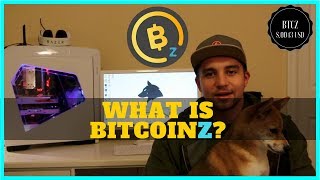 What is BitcoinZ  Mining Profitability amp GUI BTCZ Swing Wallet [upl. by Annyrb490]