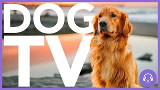 15 Hour Dog TV  AllNew Adventure Experience for Dogs 🐶 [upl. by Jarvey]