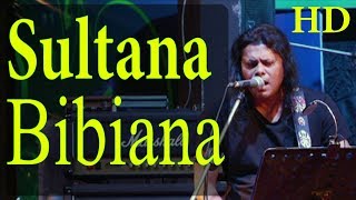 Sultana Bibiana  সুলতানা বিবিয়ানা  Live Concert  2023 [upl. by Tareyn979]