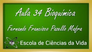 Bioquímica Aula 34  Bioenergética  Mecanismos de transferência de energia [upl. by Clausen]