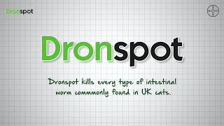 DRONSPOT® Spoton Wormer for Cats  How it Works Bayer [upl. by Itagaki]