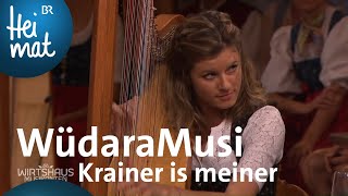 WüdaraMusi Krainer is meiner  Wirtshausmusikanten  BR Heimat  die beste Volksmusik [upl. by Nora399]