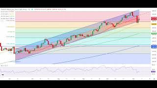 Gold Weekly Forecast XAUUSD⚠️⚠️ declined sharply as US yields surged on Trump victory [upl. by Mcgrody]