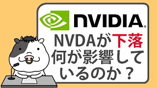 エヌビディア株が下落。何が影響しているのか【20240719】 [upl. by Janot]