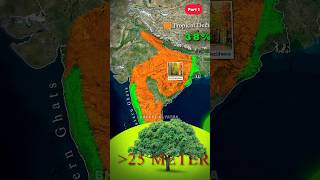 Types of regional forest trees 🌴  forest types of india  Bhugolkiyatra geography shorts [upl. by Joo]