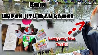 Umpan jitu ikan bawal media tempe langsung test di kolam dolmit yogyakarta [upl. by Haidabej748]