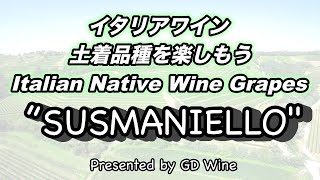 イタリアワイン土着品種を楽しもうItalian Native Grapes 40 quotススマニエッロSusmanielloquot [upl. by Eilema]