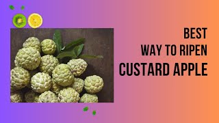 How to ripen Custard Apples Easily and Quickly [upl. by Jenilee]