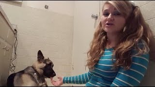 MEET THE YOUTUBER THAT HAS SX WITH HER DOGS [upl. by Tayler]