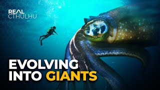 Why Do Deep Sea Creatures Evolve Into Giants [upl. by Eelyab]