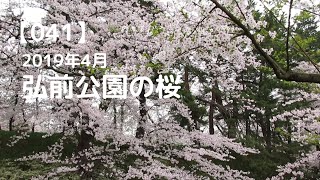 【041】2019年4月弘前公園の桜 開花予想がでるとソワソワわくわくします [upl. by Neerak]