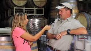 Marys Minute Episode 4  Winemaker Derek Irwin [upl. by Constantia]