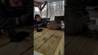 Putting rounds through the PSA Gen 3 PA10 palmettostatearmory 308 review [upl. by Holtorf969]