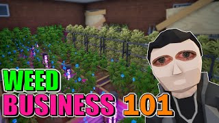 Weed Business Is BOOMING Drug Lord Tycoon GUIDE [upl. by Anzovin182]