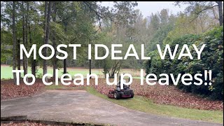 Quickest way to clean up leaves Straw talk Big update from woodyard [upl. by Cates]