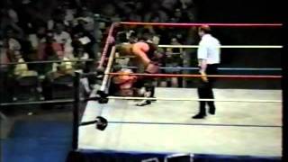 Bret Hart vs Owen Hart  60Minute Marathon Match 7994 [upl. by Zosema983]