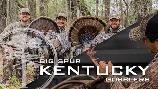 Turkey Hunting A WILD Kentucky Turkey Season Opener [upl. by Alabaster]