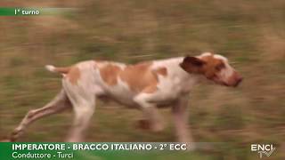 MONDIALE BRACCO ITALIANO seconda parte [upl. by Llednek]