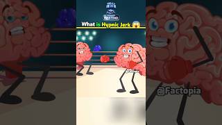 Why Does a Hypic Jerk Occur 😱 shorts fact factoholic Brain amazingfacts [upl. by Enyrehtak598]