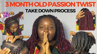 TAKE DOWN OF 3MONTH OLD PASSION TWIST BRAID  how not to loose your hair  The Amazon Deb [upl. by Lasky]