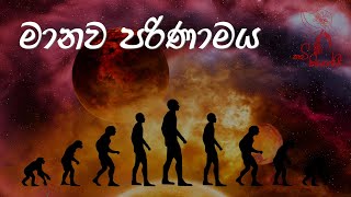 පරිණාමය Sinhala Wadan Sinhala Nisadas  Hithata Wadina Wadan පරිණාමය පරිණාමයconcert [upl. by Coulter]