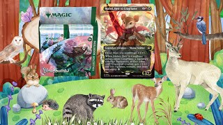 RAISED FOIL on our first BLOOMBURROW Collector box opening [upl. by Ignatia]