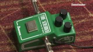 Sweetwaters Ibanez TS808 35th Anniversary Overdrive Pedal Review [upl. by Hiett]