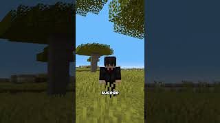 El truco secreto de la arena en Minecraft 🤫 [upl. by Onin]