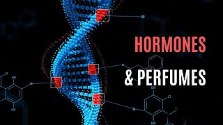 Are Perfumes Linked to Endocrine Hormone Disruption The Hidden Facts Revealed [upl. by Wyatan]