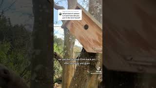 How to mount a birdbox camera birdboxcameras birdbox birdwatching [upl. by Carie]