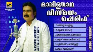 Mappila Pattukal Old Is Gold  Mappilagaana Vismayam Kannur Shareef  Malayalam Mappila Songs [upl. by Yuji937]