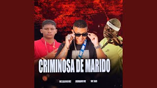 Criminosa de Marido feat MC Saci [upl. by Sidnarb]