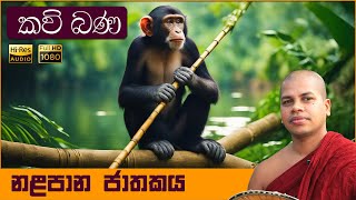 Nalapana Jathakaya  නළපාන ජාතකය  Sinhala Kavi Bana  සිංහල කවි බණ [upl. by Cowles]