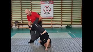 San Chi Dao amp Aiki Jutsu training [upl. by Arukas276]