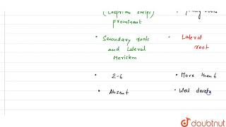 Monocot root differs from dicot root in [upl. by Mafalda]