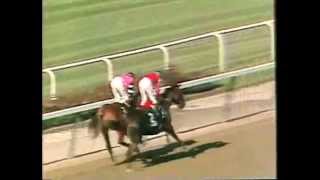 Affirmed  1978 Belmont Stakes CBS footage [upl. by Novelia]