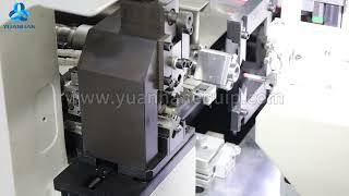 Double Ends Preinsulated Terminal Crimping Machine YHSDL03  Yuanhan [upl. by Aliban957]