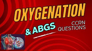 Cracking the Code Mastering ABGs amp Oxygenation CCRN Practice Questions [upl. by Lexie]