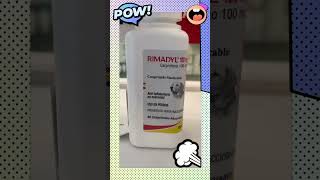 Rimadyl Antiinflamatorio 100 mg [upl. by Airamat]