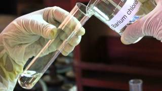 Reaction Between Sodium Sulphate and Barium Chloride Solution  MeitY OLabs [upl. by Kylstra374]