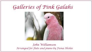 Galleries Of Pink Galahs [upl. by Barhos]