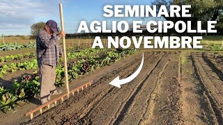 La SEMINA dell’AGLIO e delle CIPOLLE a NOVEMBRE [upl. by Quartet]