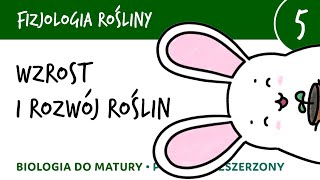 Wzrost i rozwój roślin  Fizjologia roślin 5  matura z biologii biologia rozszerzona [upl. by Drawets]