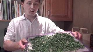 How to Dry Moringa and Make Green Powder  A New Raw Super Food [upl. by Ethelyn807]