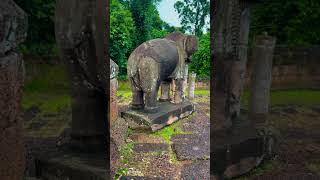 The Temple Elephant travel alanwalkersingmetosleep foryou [upl. by Aniale]