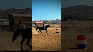 😍working on loping partshorses loping barrels [upl. by Varick491]