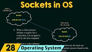 Sockets in Operating System [upl. by Knutson]