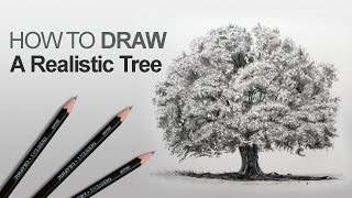 How to Draw a Tree Realistic [upl. by Ruvolo]