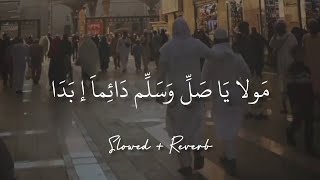 Maula Ya Salli Wa Sallim  Slowed  Reverb with Lyrics  Best Naat clips [upl. by Peedsaj224]