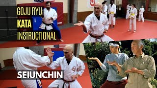 Karate Kid Kata Instructional Seiunchin  Goju Ryu Kata  Houston Karate Dojo [upl. by Ordnassela]